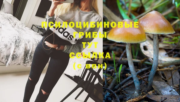 мескалин Абдулино