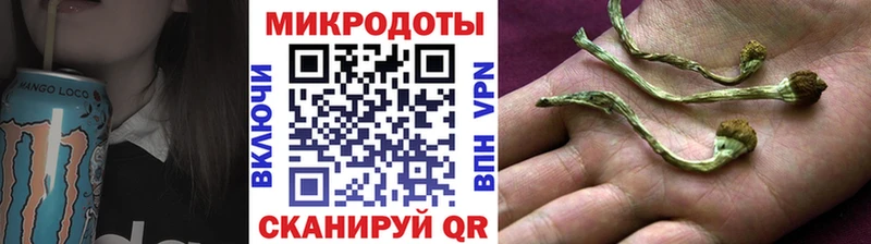 мега онион  Шали  Галлюциногенные грибы мухоморы  купить закладку 