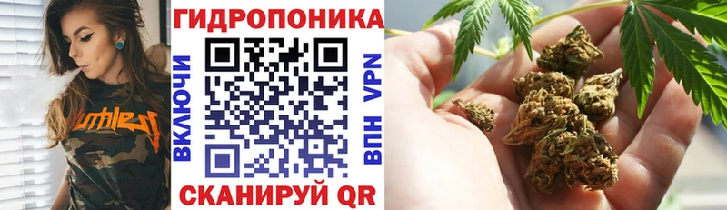 Марихуана гибрид  закладка  OMG ONION  Шали 
